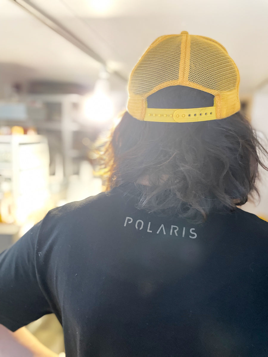 POLARIS T (LOGO A）